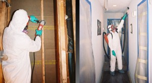 Commercial And Residential Mold Removal In NJ & PA