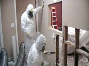 Home Mold Removal Service Philadelphia & NJ