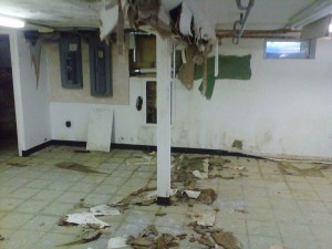 Commercial Mold Remediation Philadelphia & NJ